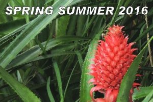 Spring-Summer Collection 2016