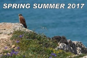 Collezione Primavera-Estate 2017