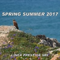 Collezione Primavera-Estate 2017 su cartella